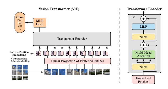 Vision Transformer architecture diagram showing patch extraction, linear projection, position embeddings, and transformer encoder blocks